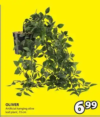 JYSK Oliver Artificial Hanging Olive Leaf Plant offer