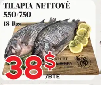 Marche Salaberry TILAPIA NETTOYÉ offer