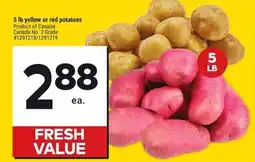 Giant Tiger Yellow or red potatoes offer