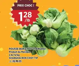 Kim Phat SHANGHAI BOK CHOY TIP offer