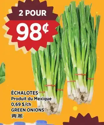 Kim Phat GREEN ONIONS offer