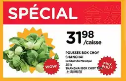 Kim Phat SHANGHAI BOK CHOY TIPS offer