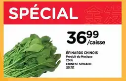 Kim Phat GREEN ONIONS offer