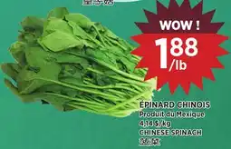 Kim Phat CHINESE SPINACH offer