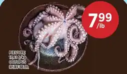 Kim Phat OCTOPUS offer