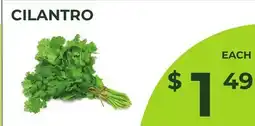 Food World Supermarket CILANTRO offer