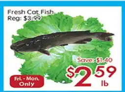 Sunny Food Mart Fresh Cat Fish offer