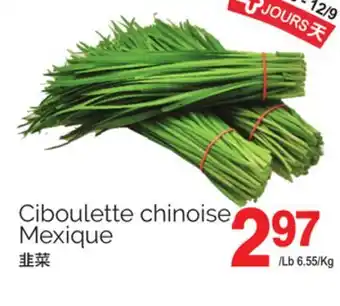 T&T Supermarket CIBOULETTE CHINOISE offer