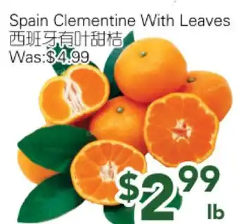 Ample Food Market Spain Clementine With Leaves offer