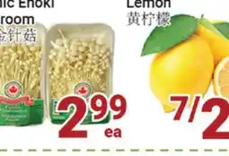 Oceans Fresh Food Market Lemon offer