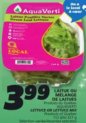 IGA AQUAVERTI LETTUCE offer