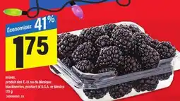 Maxi MÛRES | BLACKBERRIES, 170 G offer