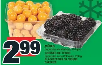 Super C MÛRES | BLACKBERRIES offer