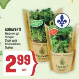 Marché Adonis AQUAVERTI HERBE EN POT | AQUAVERTI HERB POT offer