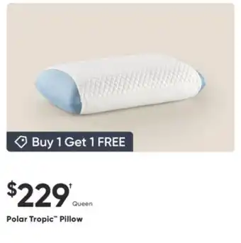 Sleep Country Polar Tropic Pillow offer