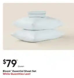 Dormez Vous Bloom Essential Sheet Set offer