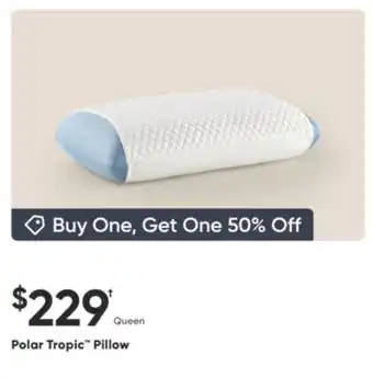 Dormez Vous Polar Tropic Pillow offer