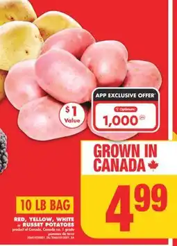 No Frills RED, YELLOW, WHITE or RUSSET POTATOES, 10 LB BAG offer