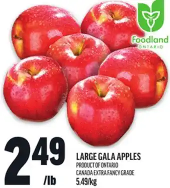 Metro LARGE GALA APPLES offer