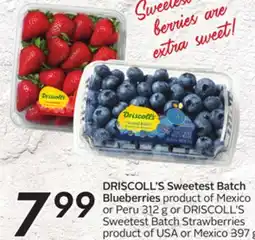 Sobeys DRISCOLL'S Sweetest Batch Blueberries offer