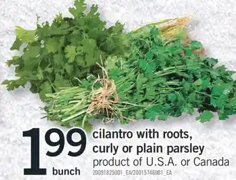 Fortinos CILANTRO WITH ROOTS, CURLY OR PLAIN PARSLEY, bunch offer