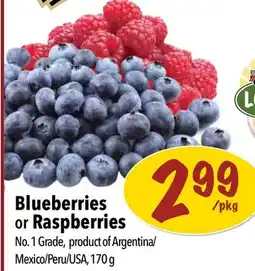 Farm Boy Blueberries or Raspberries offer