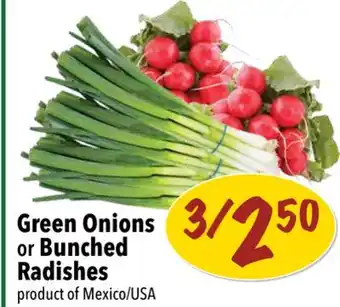 Farm Boy Green Onions or Bunched Radishes offer