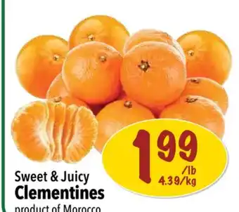 Farm Boy Sweet & Juicy Clementines offer