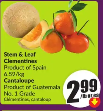 Chalo FreshCo Stem & Leaf Clementines Product of Spain 6.59/kg Cantaloupe Product of Guatemala No. 1 Grade offer