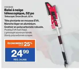 Patrick Morin Telescopic Snow Brush, 52 in offer