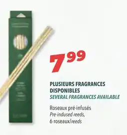 Familiprix SEVERAL FRAGRANCES AVAILABLE, Pre-indused reeds, 6/reeds offer