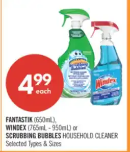 Shoppers Drug Mart FANTASTIK (650mL), WINDEX (765mL - 950mL) or SCRUBBING BUBBLES HOUSEHOLD CLEANER offer