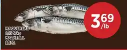 Kim Phat MACKEREL offer