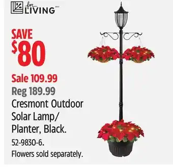 Canadian Tire For Living Cresmont Outdoor Solar Lamp/Planter, Black offer