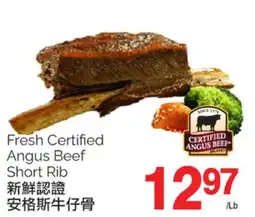 T&T Supermarket FRESH CERTIFIED ANGUS BEEF SHORT RIB offer