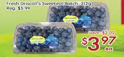 Sunny Food Mart Fresh Driscoll's Sweetest Batch 312g offer