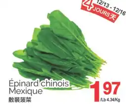 T&T Supermarket EPINARD CHINOIS MEXIQUE offer