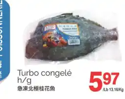 T&T Supermarket TURBO CONGELÉ H/G offer