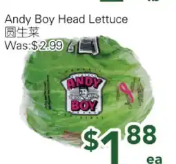 Ample Food Market Andy Boy Head Lettuce offer