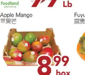 Oceans Fresh Food Market Apple Mango offer