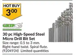 Princess Auto 30 pc High-Speed Steel Micro Drill Bit Set offer