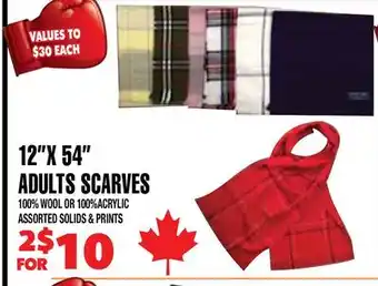 Len's Mill Stores 12X54 ADULTS SCARVES offer