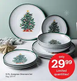 Kitchen Stuff Plus 12 Pc. Evergreen Dinerware Set offer