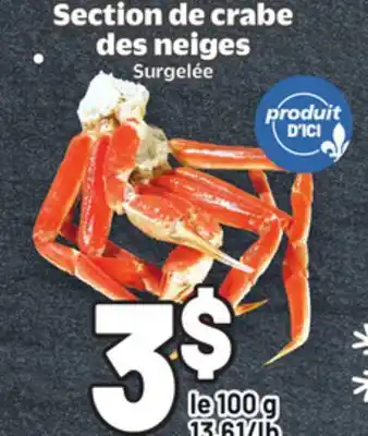 Metro SECTION DE CRABE DES NEIGES offer