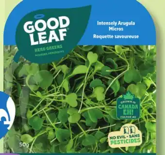 IGA GOOD LEAF LETTUCE offer