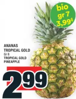 Super C ANANAS TROPICAL GOLD | TROPICAL GOLD PINEAPPLE offer