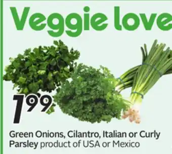 Sobeys Green Onions, Cilantro, Italian or Curly Parsley offer