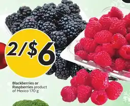 Sobeys Blackberries or Raspberries offer