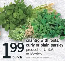 Fortinos CILANTRO WITH ROOTS, CURLY OR PLAIN PARSLEY, bunch offer