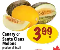 Farm Boy Canary or Santa Claus Melons offer